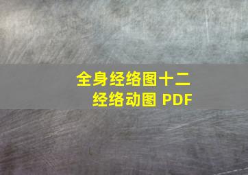 全身经络图十二经络动图 PDF